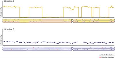 Challenges in quantifying genome erosion for conservation